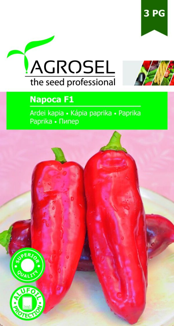 Paprika (kápia), Napoca F1 - 1 g