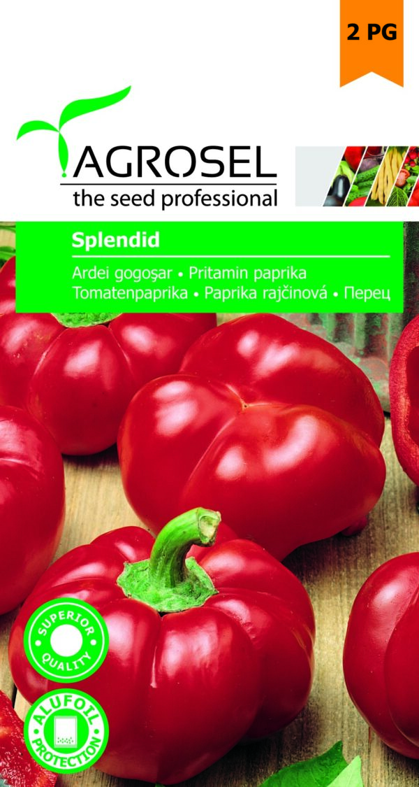 Paprika (pritamin), Splendid - 0,6 g
