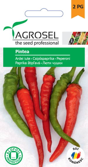 Paprika (csípős), Pintea - 0,8 g