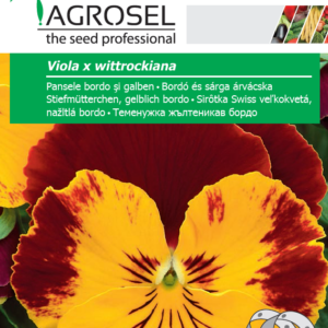 Bordó és sárga árvácska vetőszalag, Viola x wittrockiana - 0,5 g