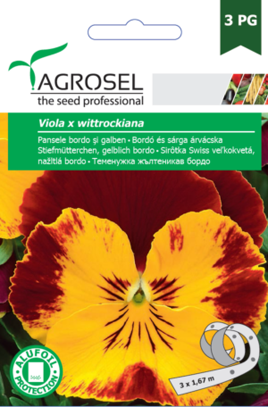 Bordó és sárga árvácska vetőszalag
