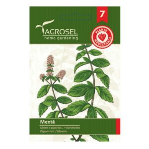 Borsmenta, Menta x piperita L. 0,2 g