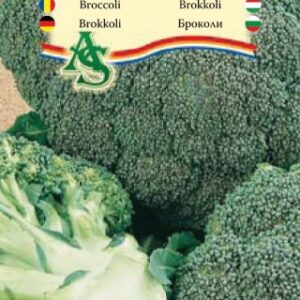 Brokkoli, Calabrese Natalino - 2 g