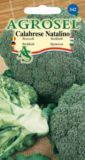 Brokkoli, Calabrese Natalino - 0,6 g