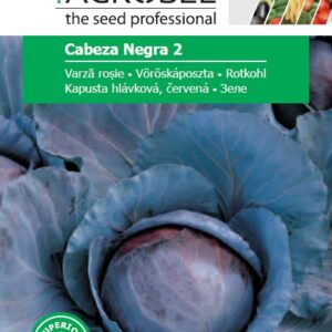 Káposzta, Cabeza Negra 2 - 3 g - 3 g