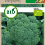 Bio brokkoli, Calabrese Natalino 2 g