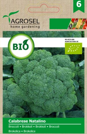 Bio brokkoli, Calabrese Natalino 2 g