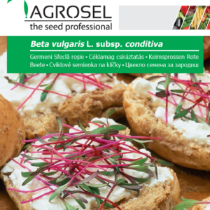Céklamag csíráztatásra, Beta vulgaris L. subsp. conditiva - 8 g