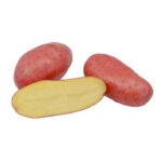 Cherie vetőburgonya - 50 szem