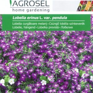 Csüngő lobélia színkeverék, Lobelia erinus L. var. pendula - 0,5 g - 0,5 g