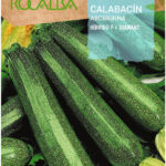 Cukkini, Diamant F1 - 3 g