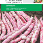 Bokorbab, Dalmaziano - 45 g