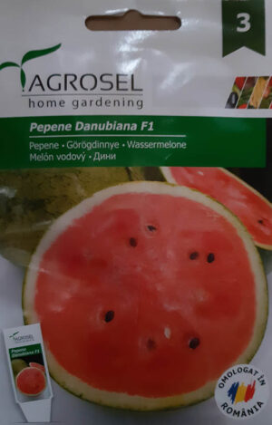 Görögdinnye, Danubiana F1 - 10 szem