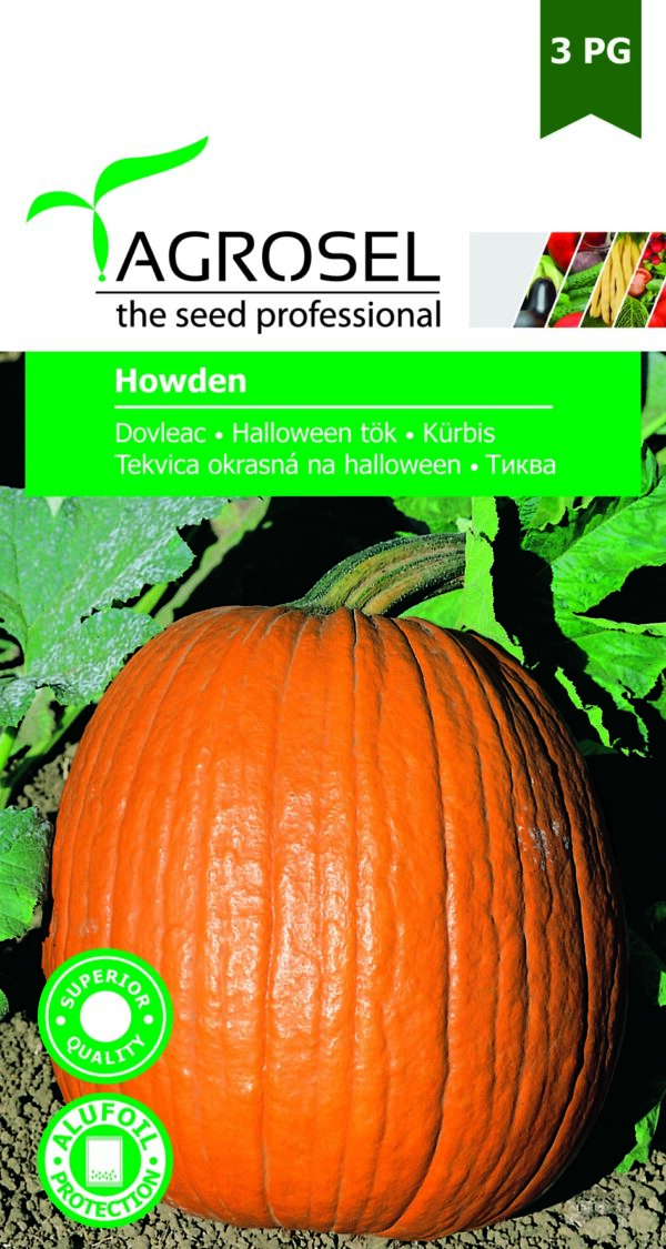 Halloween tök, Howden - 4 g