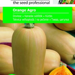 Sütőtök (kanadai), Orange Agro - 3 g