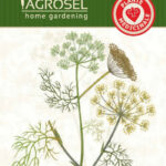 Édeskömény, Foeniculum vulgare  4 g