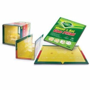 Egér- és patkányfogó lap (nagy)