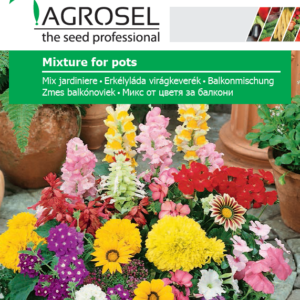 Erkélyláda virágkeverék, Mixture for pots - 3 g