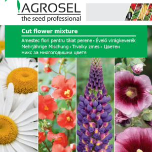 Évelő virágkeverék, Cut flower mixture - 4 g