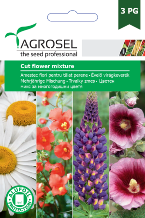 Évelő virágkeverék, Cut flower mixture - 4 g