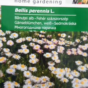 Fehér százszorszép - 0,2 g