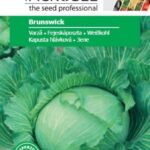 Káposzta, Brunswick - 2 g