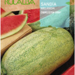 Görögdinnye, Charleston Gray - 10 g