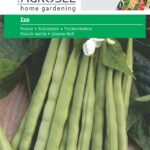 Szárazbab, Iza - 25 g