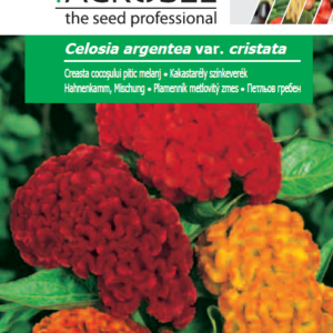 Kakastarély színkeverék, Celosia argentea var. cristata - 1 g