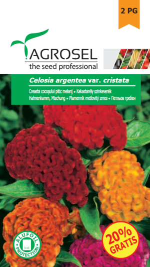 Kakastaréj színkeverék, Celosia argentea var. cristata - 1 g