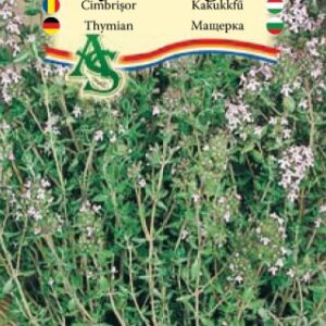 Kakukkfű, Thymus vulgaris L. - 1 g