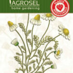 Kamilla, Matricaria chamomilla L. 3 g