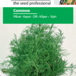 Kapor, Anethum graveolens 3 g