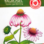Kasvirág, Echinacea purpurea L. 2 g