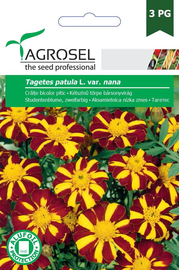Kétszínű törpe bársonyvirág, Tagetes patula L. var. nana - 1 g