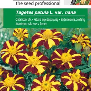 Kétszínű törpe bársonyvirág, Tagetes patula L. var. nana - 1 g - 1 g