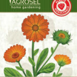 Körömvirág, Calendula officinalis 3 g