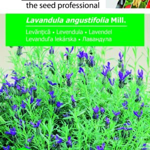Levendula, Lavandula angustifolia Mill. - 0,4 g
