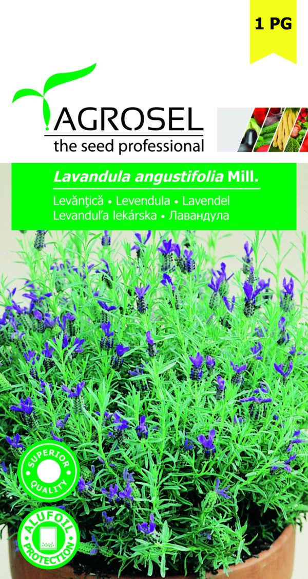 Levendula, Lavandula angustifolia Mill. - 0,4 g