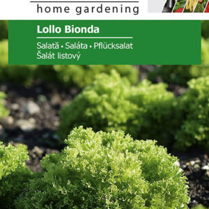 Saláta, Lollo Bionda - 2 g