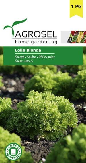 Saláta, Lollo Bionda - 2 g