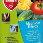Magnicur Energy 15 ml