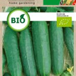 Bio salátauborka, Marketmore 0,6 g