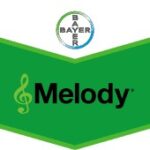 Melody Compact 49 WG 250 g