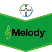 Melody Compact - 15 g