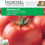 Paradicsom, Moldoveanu F1 - 10 szem