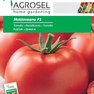 Paradicsom, Moldoveanu F1 - 10 szem