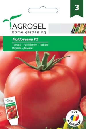 Paradicsom, Moldoveanu F1 - 10 szem