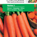 Sárgarépa, Nantes 2 - 2,5 g