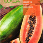 Papaya  - 0,5 g